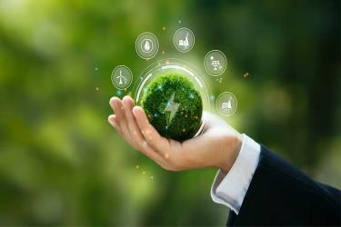 Sustainability & Environment